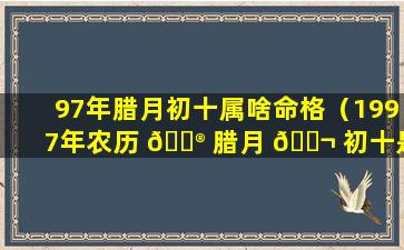 97年腊月初十属啥命格（1997年农历 💮 腊月 🐬 初十是阳历几月几日）